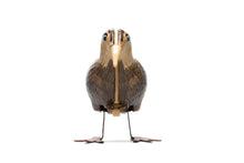 Load image into Gallery viewer, Kiwi bird