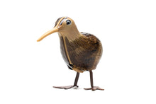 Load image into Gallery viewer, Kiwi bird