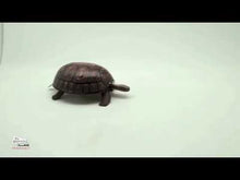 Load and play video in Gallery viewer, Walking Tortoise
