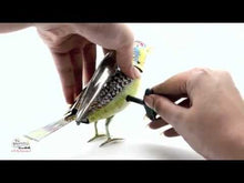 Load and play video in Gallery viewer, Singing Bird - Stainless Steel
