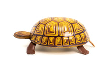 Load image into Gallery viewer, Walking Tortoise
